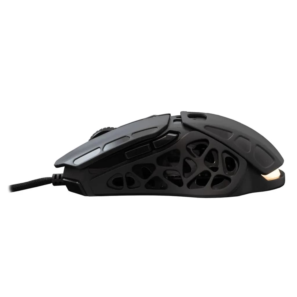 Souris Gaming White Shark Ector GM-5016 Black