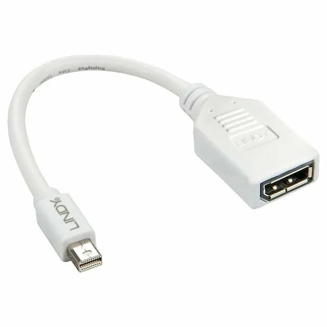 Adaptateur Mini Display Port Vers Display Port